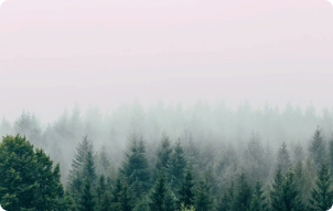 climate